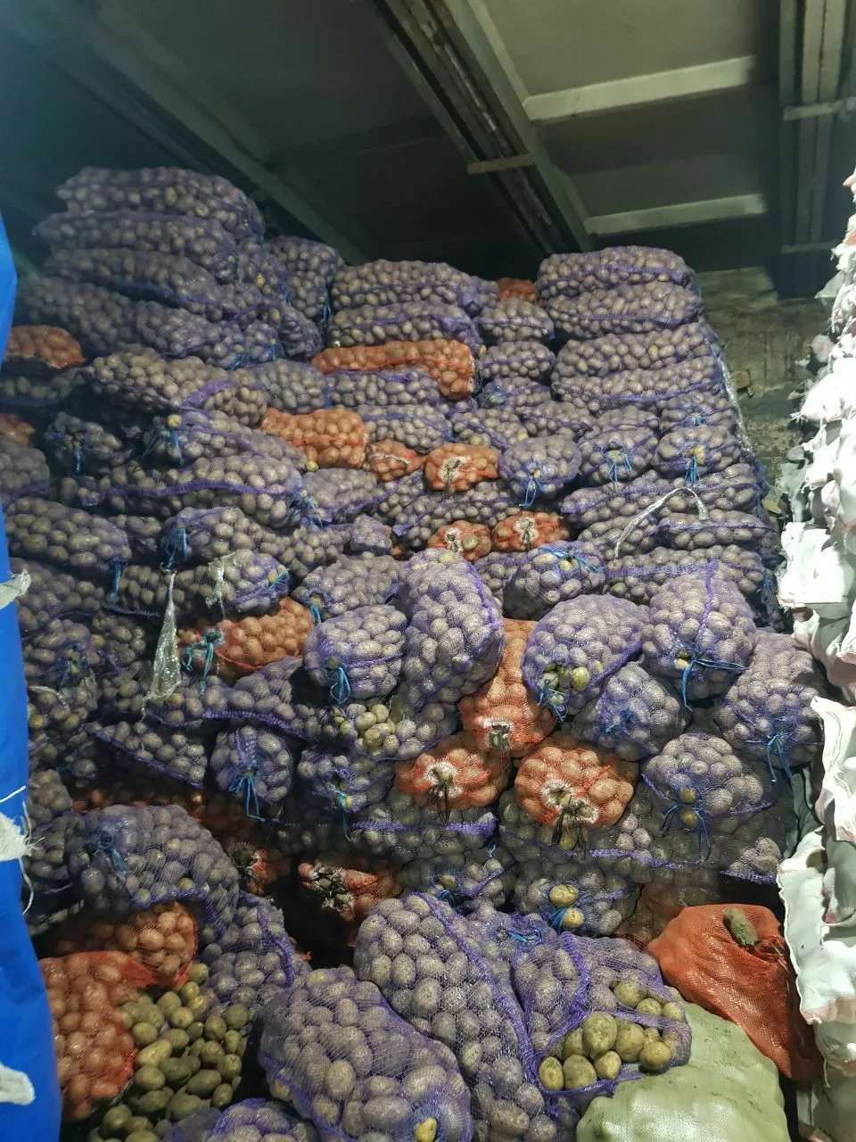 картофель сибирь в Хабаровске