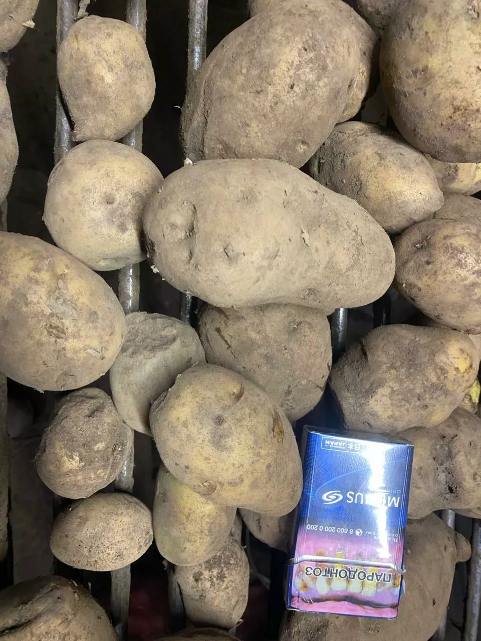картофель продовольственный оптом в Комсомольск-на-Амуре 7
