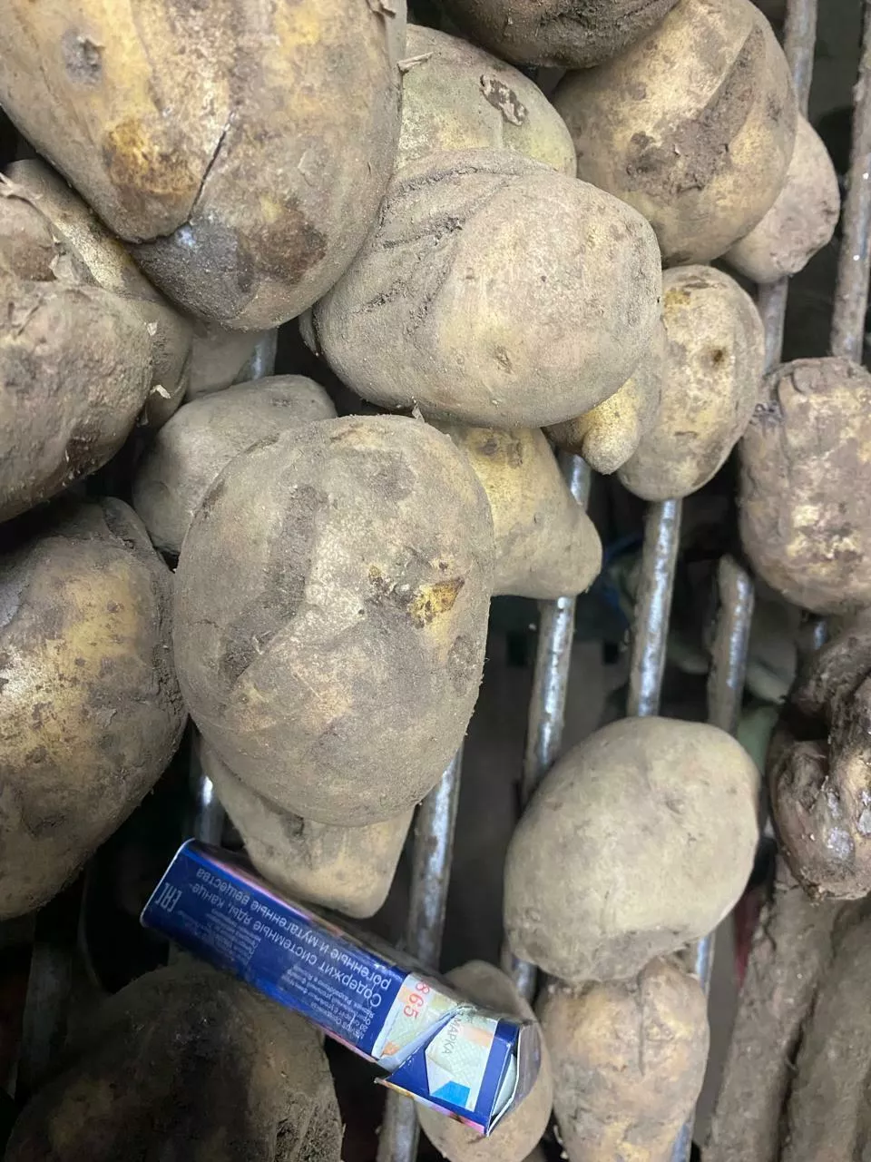 картофель продовольственный оптом в Комсомольск-на-Амуре 6