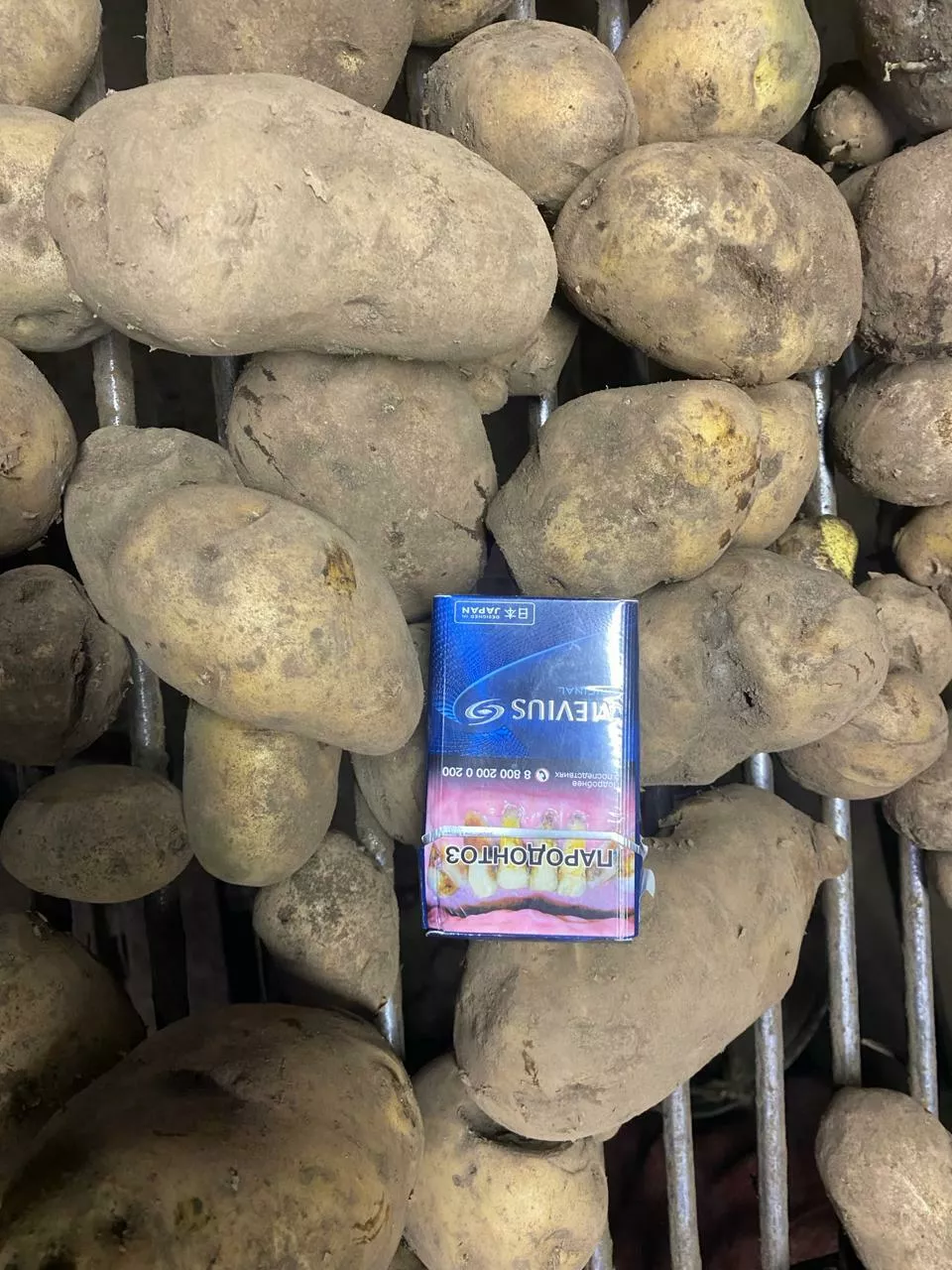 картофель продовольственный оптом в Комсомольск-на-Амуре 4