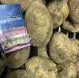 картофель продовольственный оптом в Комсомольск-на-Амуре 2